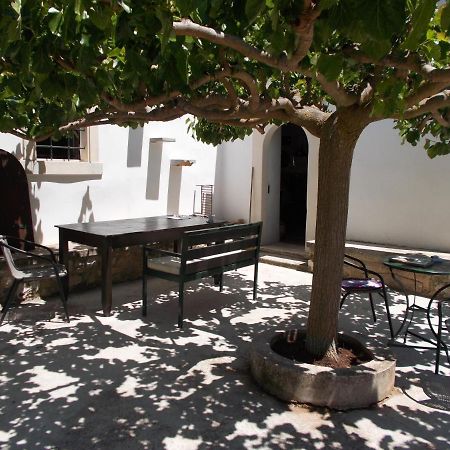 Xenios Z Rustic Rural Cottage Karidi Dış mekan fotoğraf