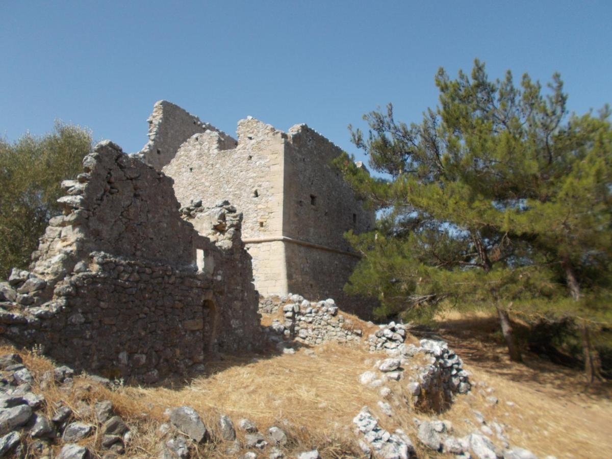 Xenios Z Rustic Rural Cottage Karidi Dış mekan fotoğraf