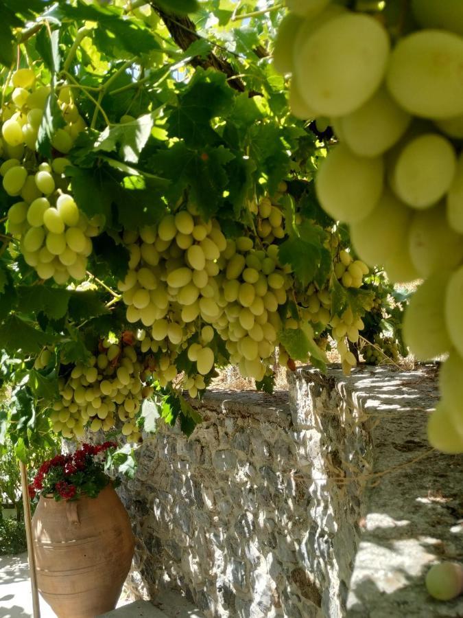 Xenios Z Rustic Rural Cottage Karidi Dış mekan fotoğraf